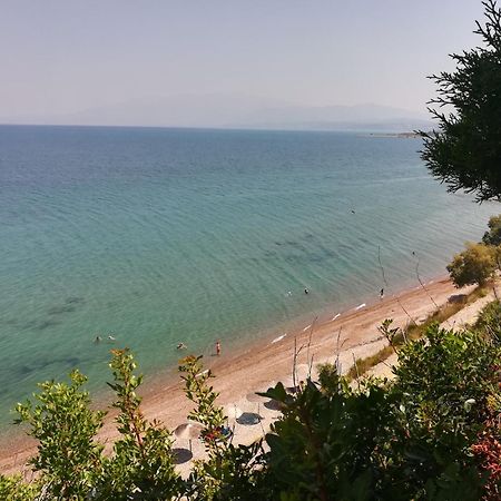 Koralli Sea View Hotel Kato Achaia Exteriör bild
