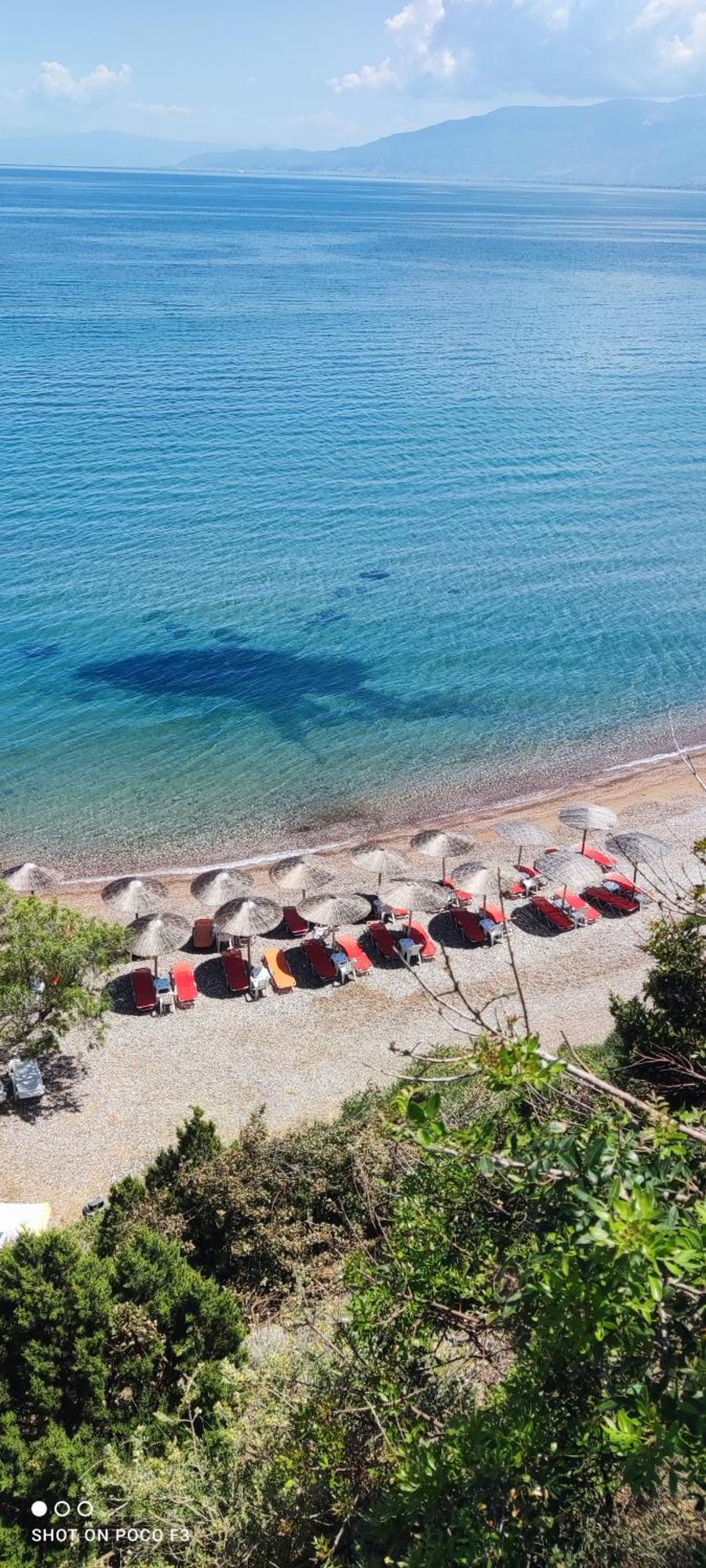 Koralli Sea View Hotel Kato Achaia Exteriör bild